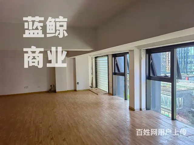 绿地商务蓝海200平复式办公楼 - 图片 5