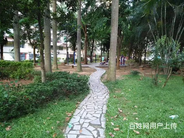 赤坎鑫紫荆花园3楼出租，拎包入住 - 图片 11