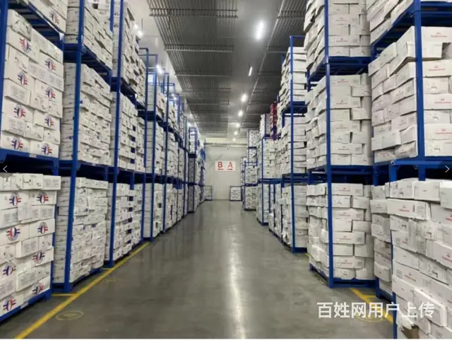 淄博高标冷库出租 - 配套设施齐全+提供供应链金融服务+匹配 - 图片 6