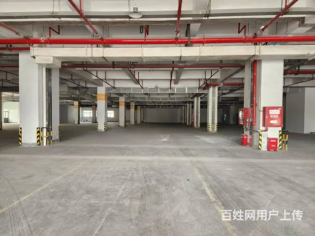 苏虹东路精装厂房招租 4T货梯 丙类消防 带喷淋 交通便利！ - 图片 10