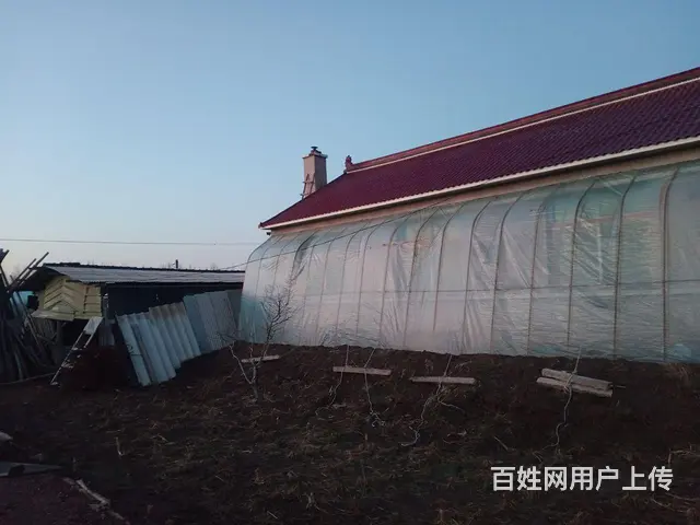 民房出售带冷棚 - 图片 3