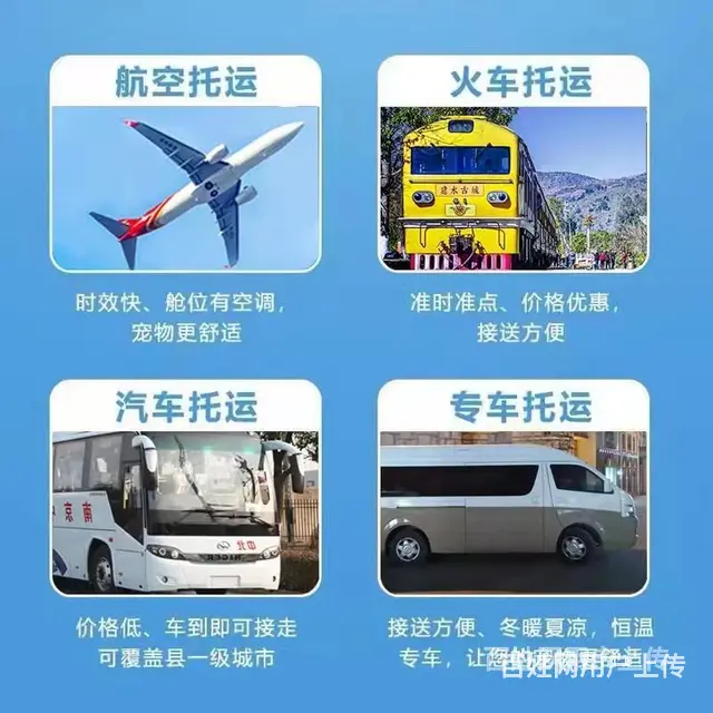 2022/）常州市宠物托运（猫狗）邮寄快递（宠物活体运输 ） - 图片 1