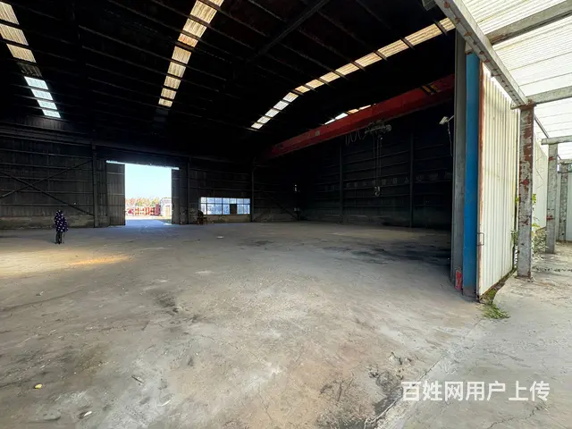 （徐州找店网）沛县安国独院厂房出租 - 图片 5