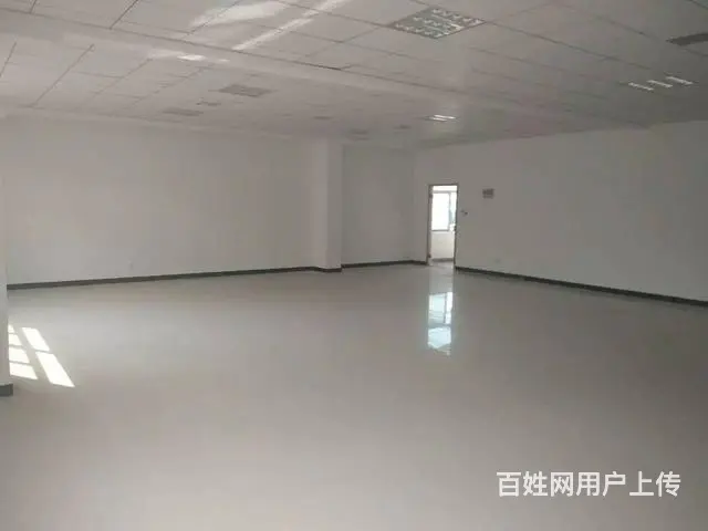 王辛 15150055440 随时恭候你的咨询 - 图片 4