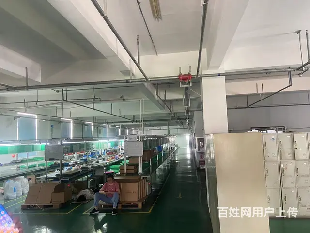 急租！千灯优质房源 1100平,带喷淋。直租免中介 - 图片 3