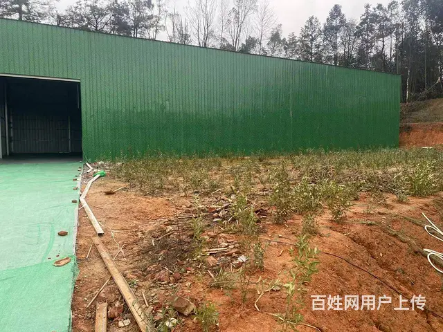 （房东直租）雷锋大道300，500平两栋厂房带1000多外坪 - 图片 6