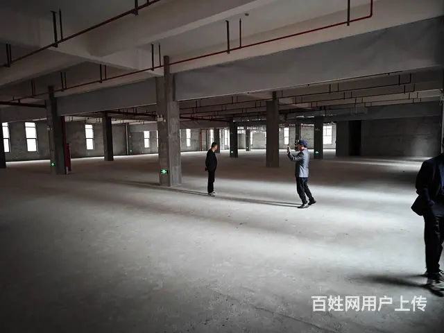 吴兴区7.5米层高标准厂房出租 - 图片 3