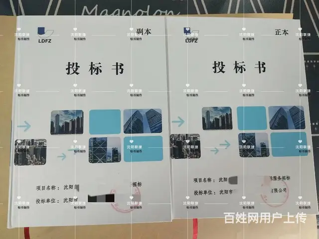 沈阳制作标书 （标书代写、十年经验专业团队） - 图片 3