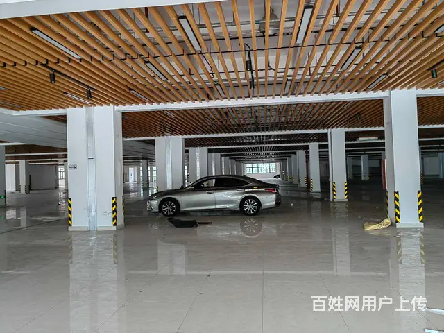 高新区高架8000平，可分租，形象好，有坡道，汽车可开上楼。 - 图片 4