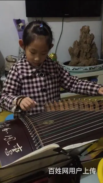 招收古筝学员 - 图片 10