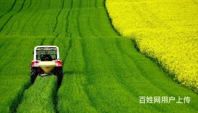 苏州哪家翻译公司有资质的金桥翻译社 - 图片
