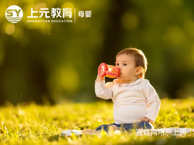 苏州姑苏公共营养师培训_公共营养师作为副业的优点 - 图片