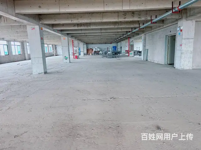 （老板本人）开福区新建标准园区厂房/仓库出租  6113 - 图片 3