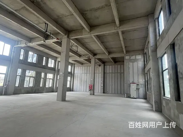 【出租】新兴工业园标准厂房，可享租金补贴 - 图片 4
