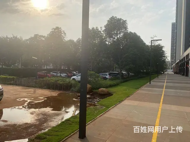 （51旺铺推荐）新大洲大道润山府74.17平商铺出租 - 图片 8