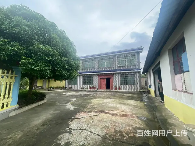 （老板本人）岳麓区含浦场地带整栋房屋出租  6305 - 图片 5