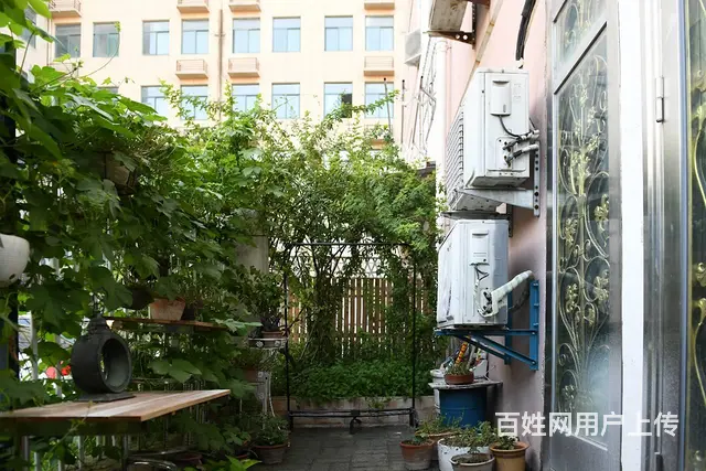 宿州市蓝石西区 商住两用 精装修 - 图片 11