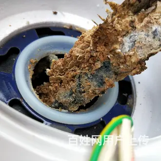 专业家电清洗洗衣机 热水器 空调 冰箱(地热清洗) - 图片 1