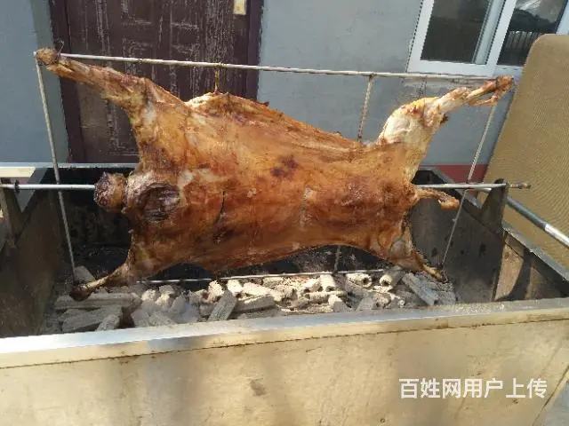 专业上门烤全羊，烧烤上门服务 - 图片 8