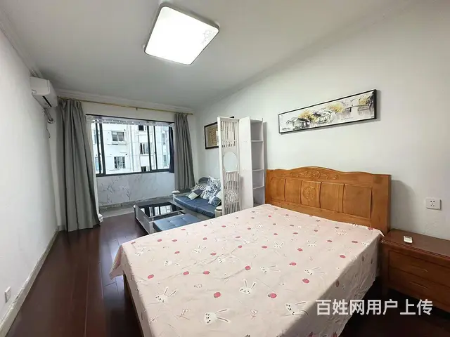 实图月付 桐泾公园 解放新村 精装两房大客厅 低楼层押一付一 - 图片 3