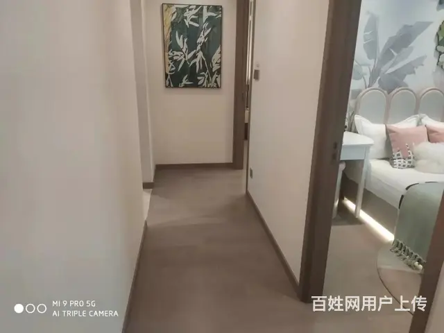 花语景岸,太仓南郊老城交汇处 南洋广场1.4公里 - 图片 9