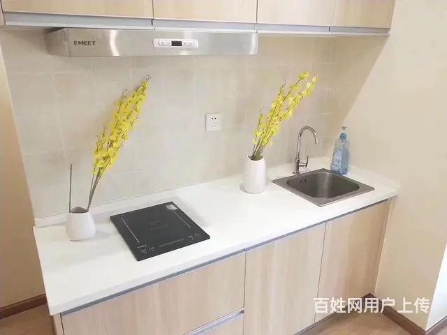 汇金国际星都嘉苑精装1房中山花园财富中心西湖文化广场带车位 - 图片 8