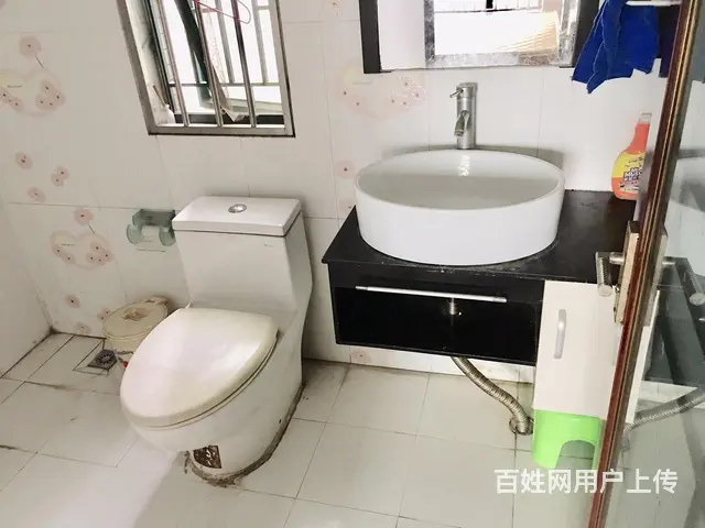 白天鹅花园二期 气场得天独厚 威慑人心 身材不高 - 图片 10