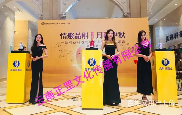 活动策划、展会搭建、灯光音响、LED屏、摄像、演出 - 图片 10