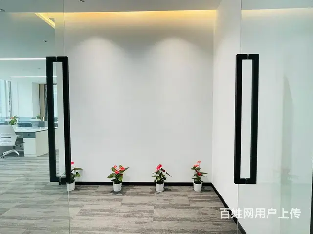 钱江大观，萧山奥体板块，精装出租80至400方，多套可挑选！ - 图片 2
