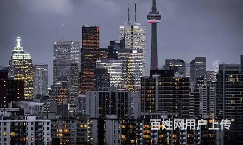 美国人才移民怎么办成功率高？选择移民内参网！ - 图片