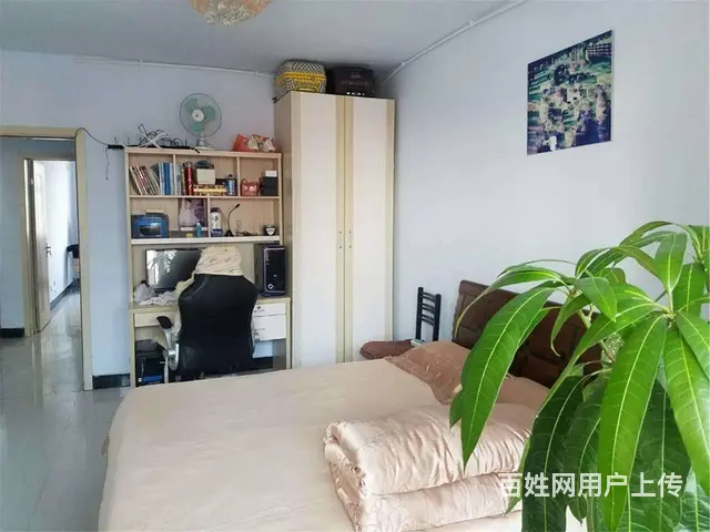 首付12万 包过户 金碧苑 普通住宅 中等装修 电梯中层 - 图片 4