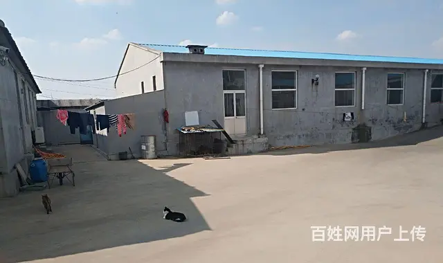文登市区独门独院冷藏厂出租 - 图片 3