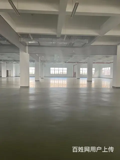 城南高新区二楼1800平米厂房出租 - 图片 1