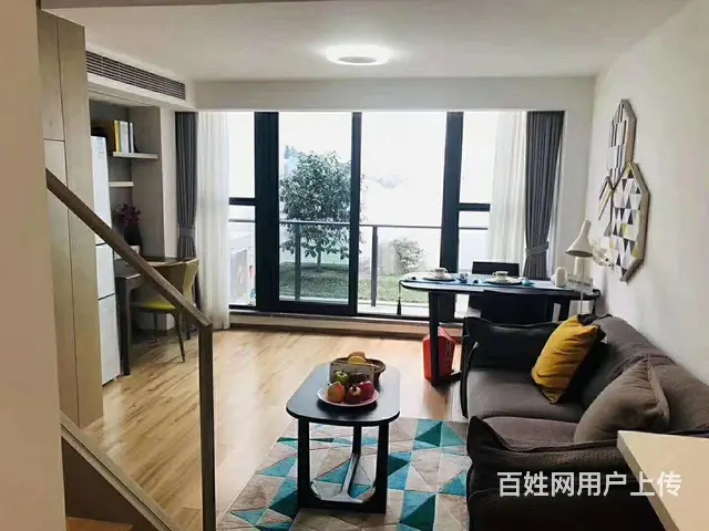 奥莱金街 转塘纯地铁口公寓两房 精装修送家电送阳台 - 图片 6