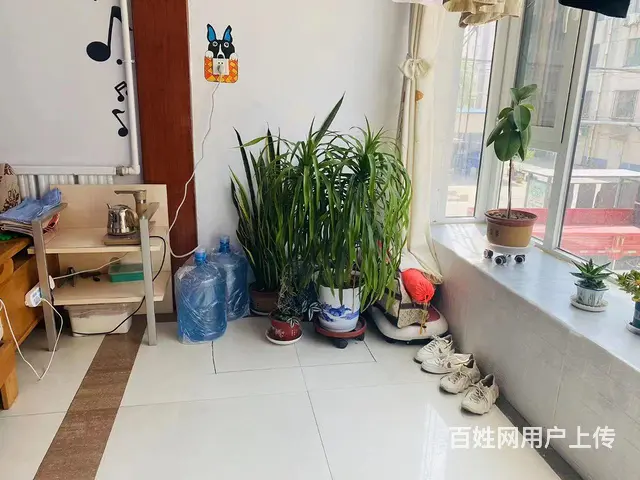 诚心低价急售张店区南定镇金海小区 - 图片 5