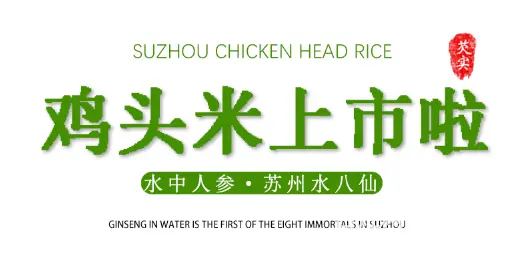 苏州特产水八仙新鲜鸡头米1斤2斤3斤礼盒装 - 图片 2