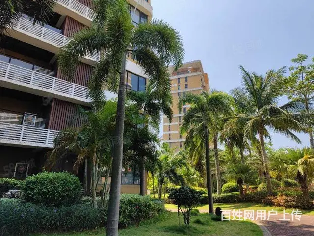 湘海城1房1厅1卫1大阳台 - 图片 3