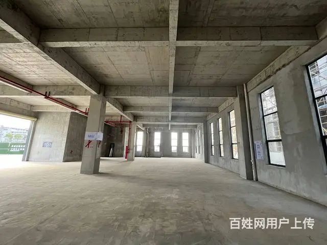 江门高新区厂房 - 图片 8