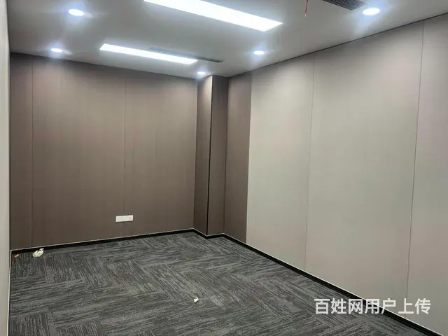 星城中心双地铁口精装修，带家具，拎包入住 - 图片 5