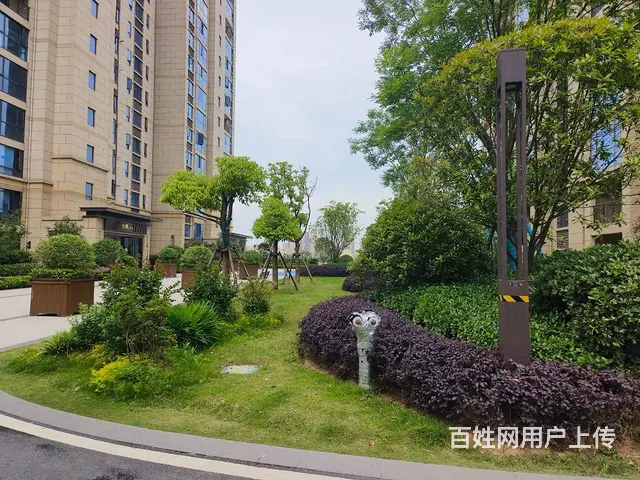 碧桂园黄金时代豪华装修洋房出租 - 图片 3