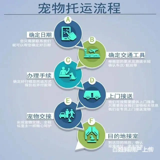 徐州托运宠物 （猫狗活体运输）快递至全国各地 - 图片 1