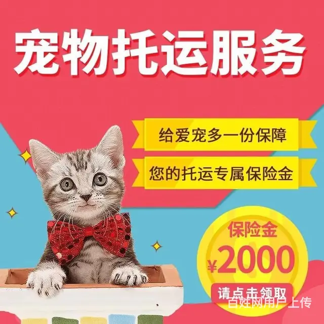老河口宠物托运（猫狗柴犬）（全国活体运输）一对一上门接 全程 - 图片 1