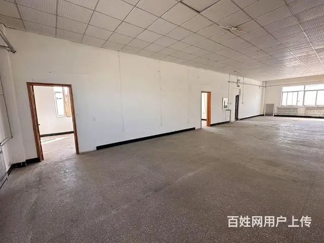 （新房源）羊亭和兴路附近标准厂房出租可分租 - 图片 11