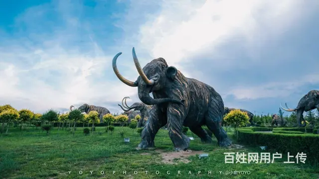 呼伦贝尔呼伦贝尔旅游攻略阿杰师傅靠谱 - 图片 4