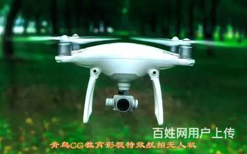 武汉青鸟教育平面设计培训 - 图片 3
