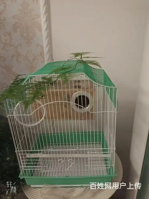 俩个鸟笼 一大一小 一个小鸟 一袋鸟粮 - 图片 2