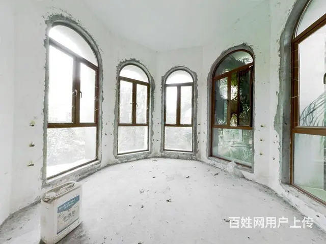 碧桂园假日半岛棕榈岛 8室4厅 南 - 图片 4