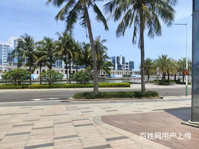 (51旺铺推荐）美兰区碧桂园中央半岛520平铺面出租 - 图片 10