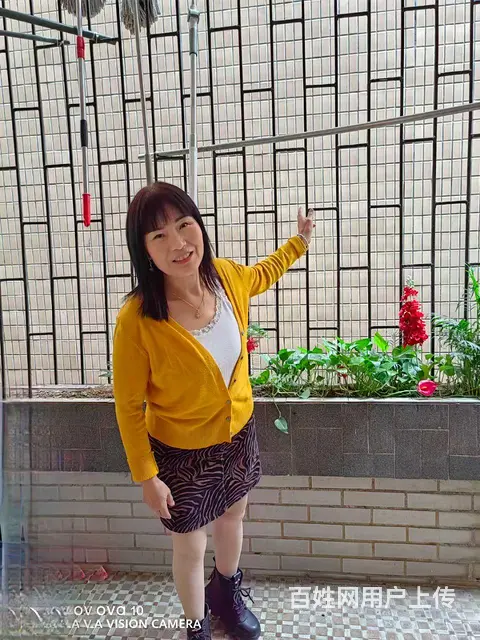 你来我往 - 图片 3