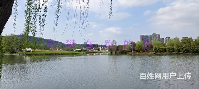 杭州滨江区陈家村小独栋办公室出租，环境优美 - 图片 1